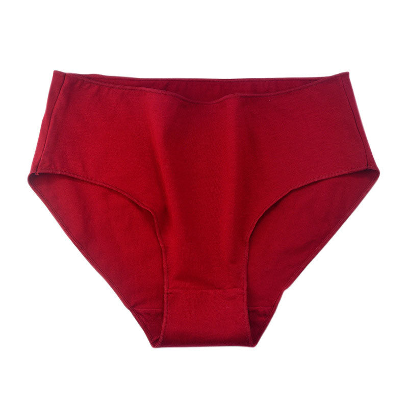 Culotte taille basse grande taille à couverture complète (lot de 6)