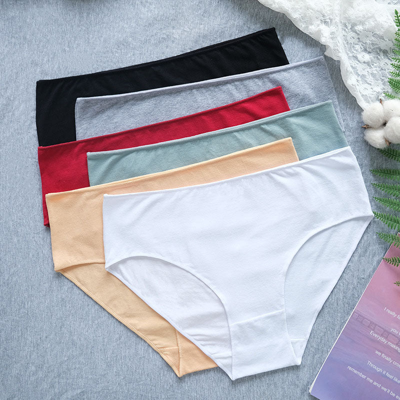 Culotte taille basse grande taille à couverture complète (lot de 6)