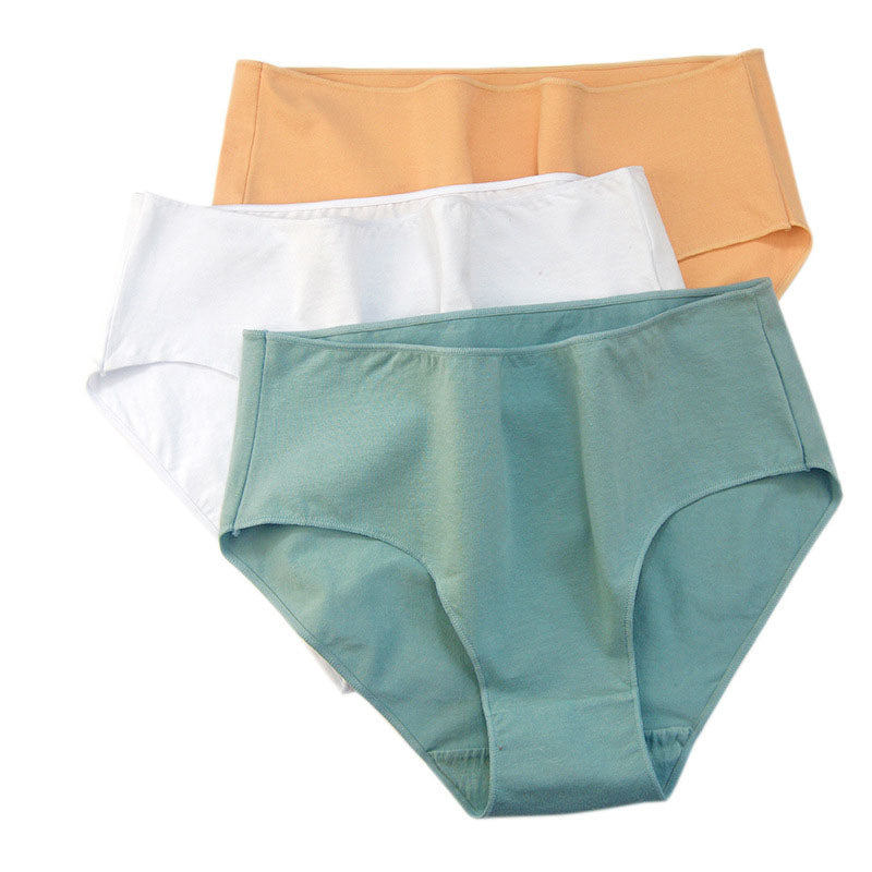 Culotte taille basse grande taille à couverture complète (lot de 6)