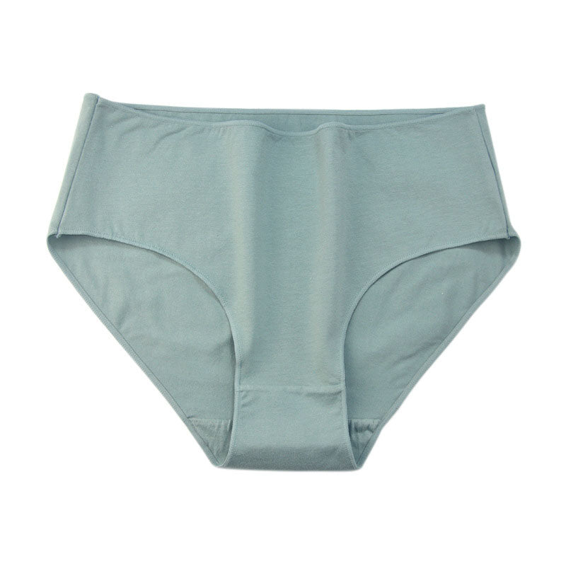 Culotte taille basse grande taille à couverture complète (lot de 6)