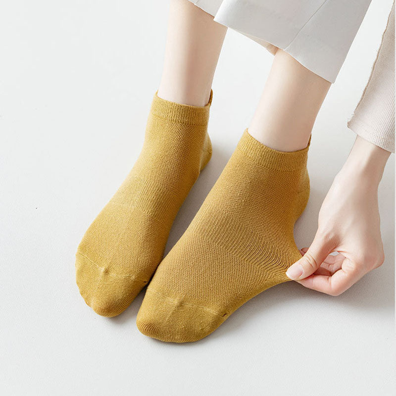 Chaussettes quatre saisons en maille grande taille (10 paires)