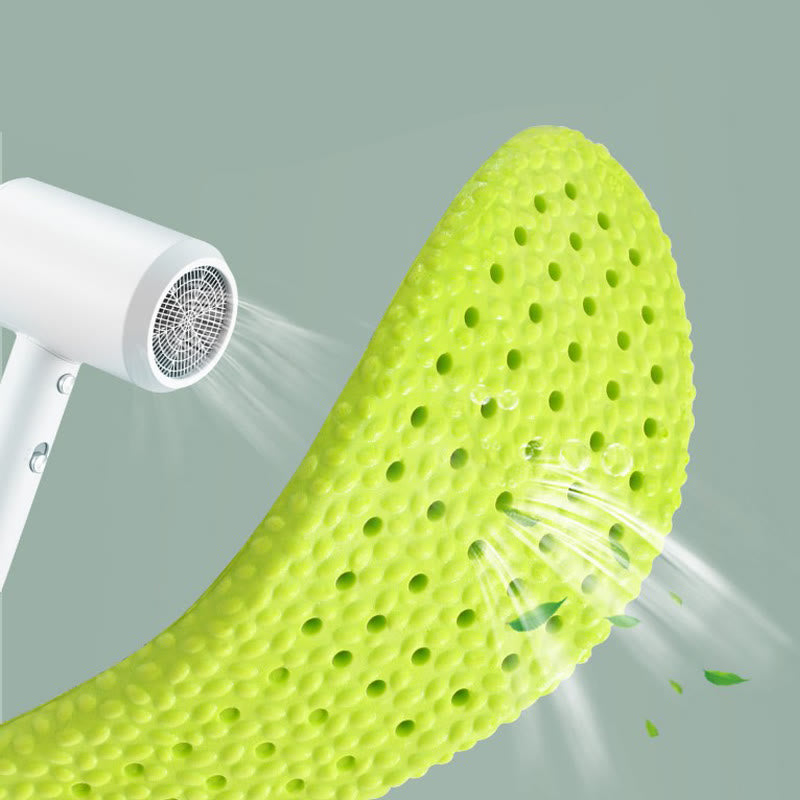 Semelles respirantes Wormwoods grande taille