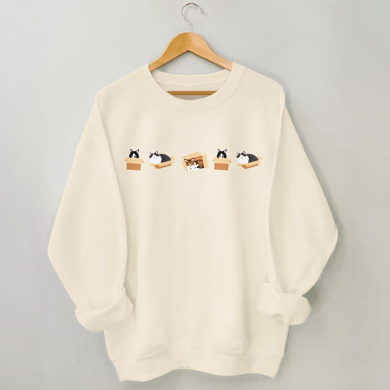 Sweat-shirt Box Cat grande taille - Abricot - 3XL - image 1