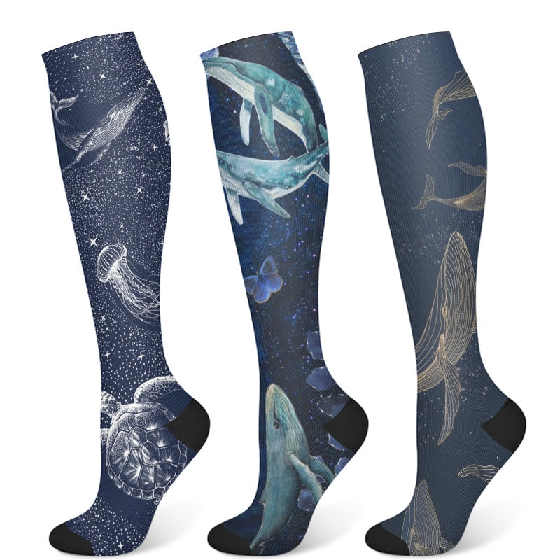 Chaussettes de compression ciel étoilé (3 paires) - Multicolore - S/M - image 5