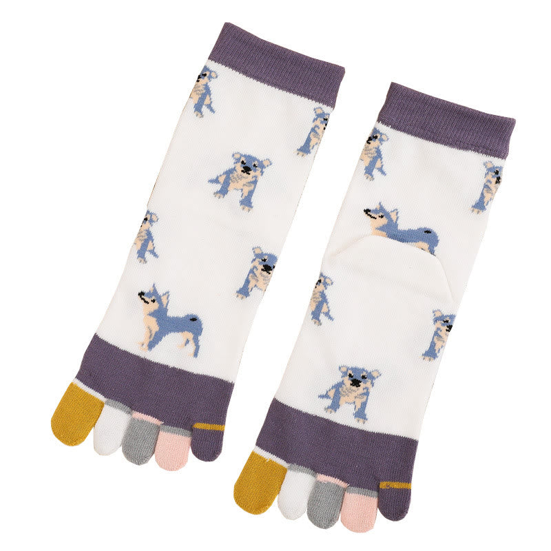 Chaussettes d'alignement pour chien (5 paires)