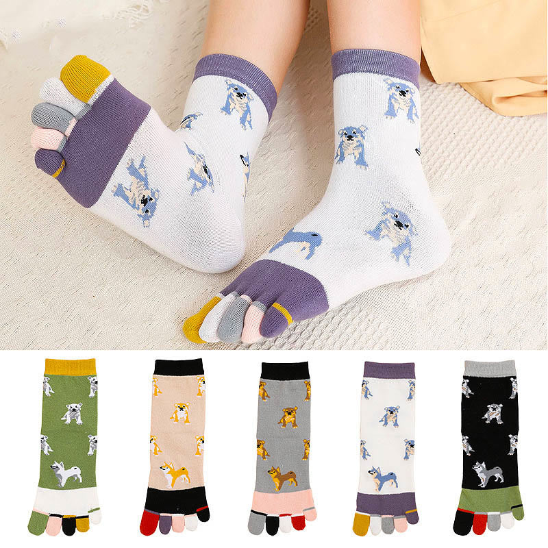 Chaussettes d'alignement pour chien (5 paires)