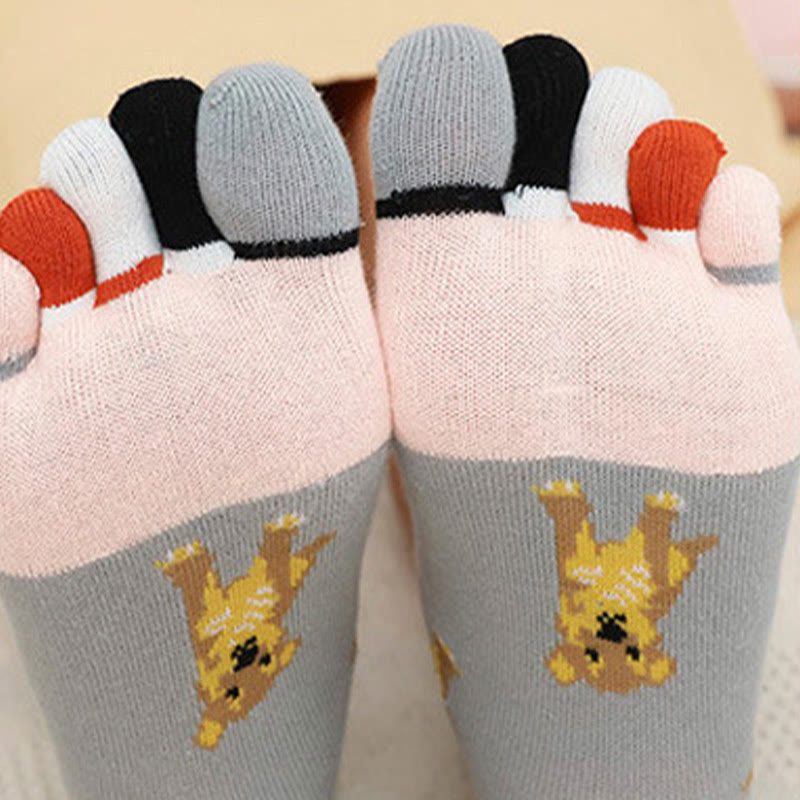 Chaussettes d'alignement pour chien (5 paires)