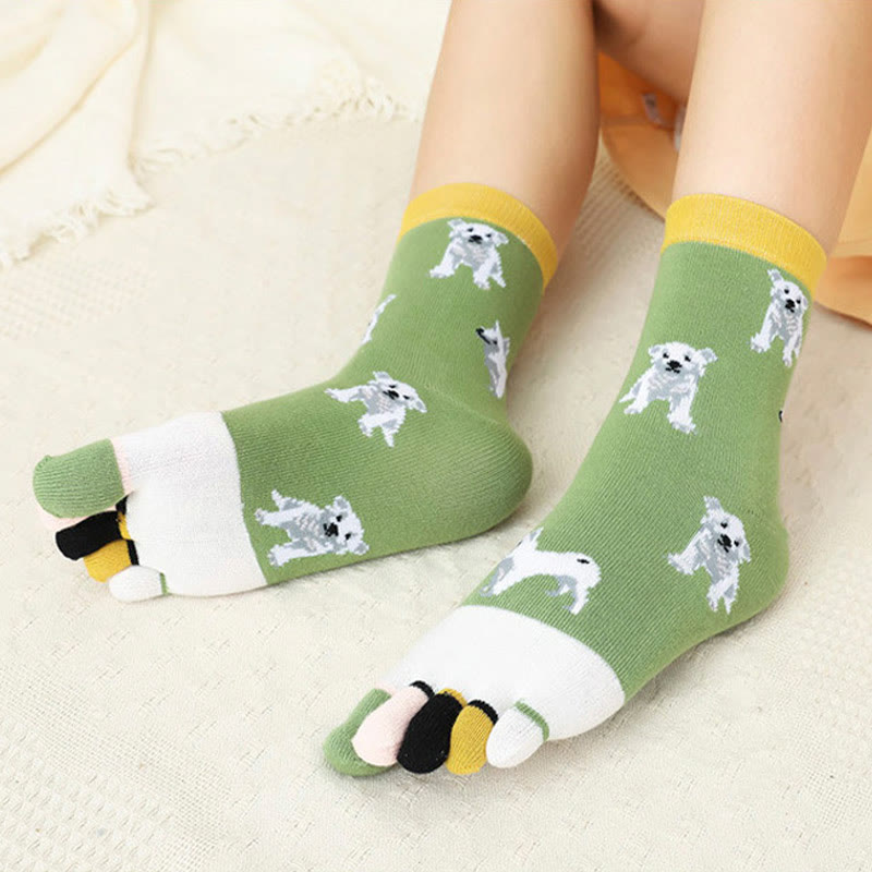 Chaussettes d'alignement pour chien (5 paires)