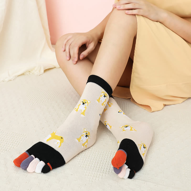 Chaussettes d'alignement pour chien (5 paires)