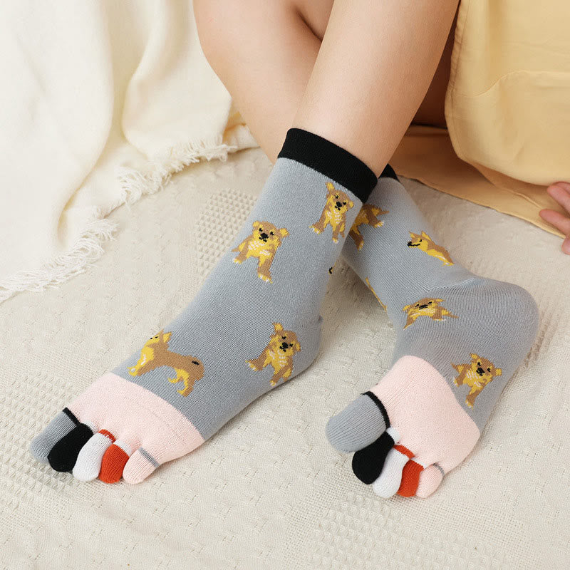 Chaussettes d'alignement pour chien (5 paires)