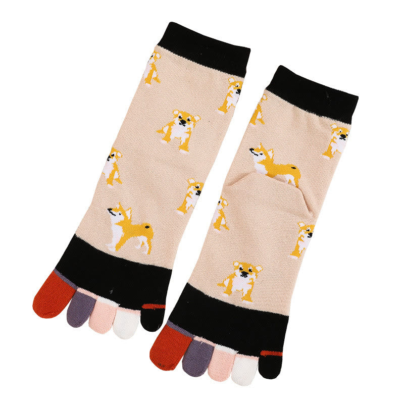 Chaussettes d'alignement pour chien (5 paires)
