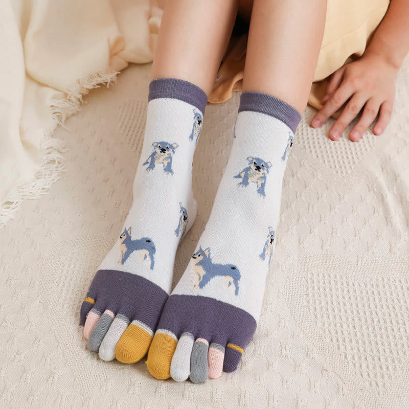 Chaussettes d'alignement pour chien (5 paires)
