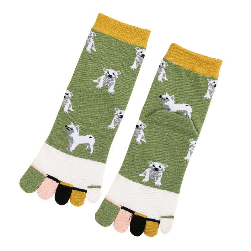 Chaussettes d'alignement pour chien (5 paires)