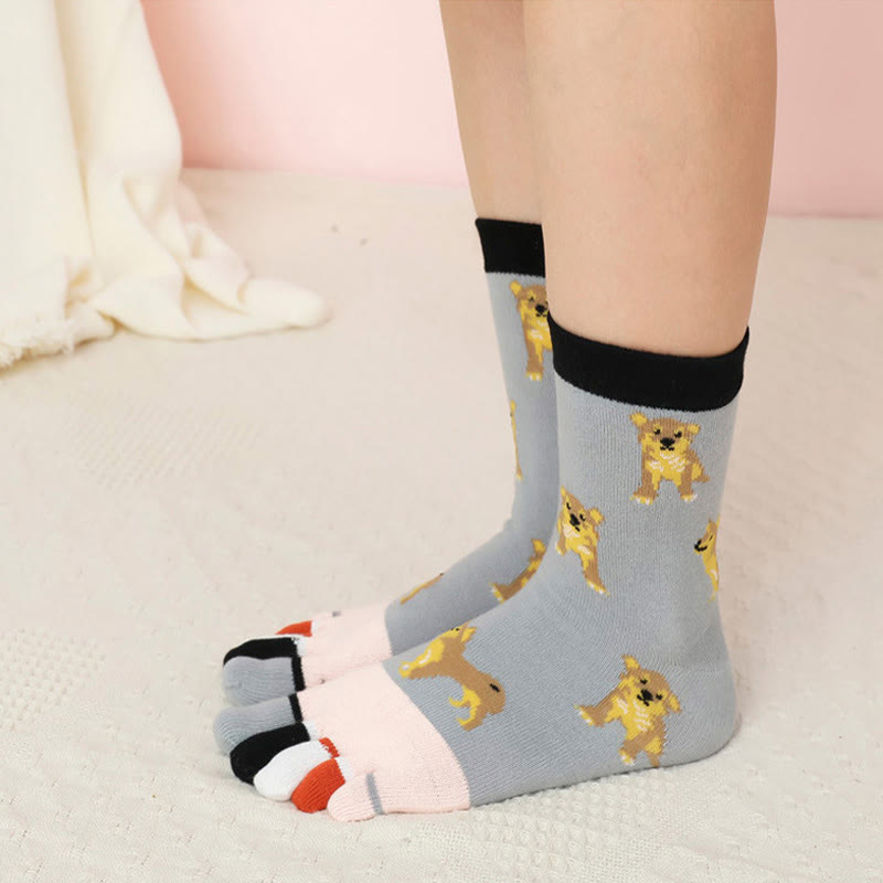 Chaussettes d'alignement pour chien (5 paires)