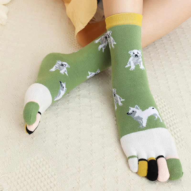 Chaussettes d'alignement pour chien (5 paires)