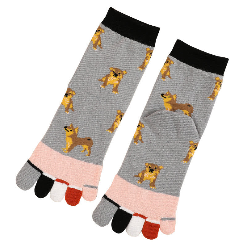 Chaussettes d'alignement pour chien (5 paires)