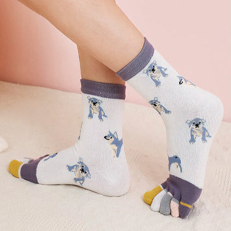 Chaussettes d'alignement pour chien (5 paires)