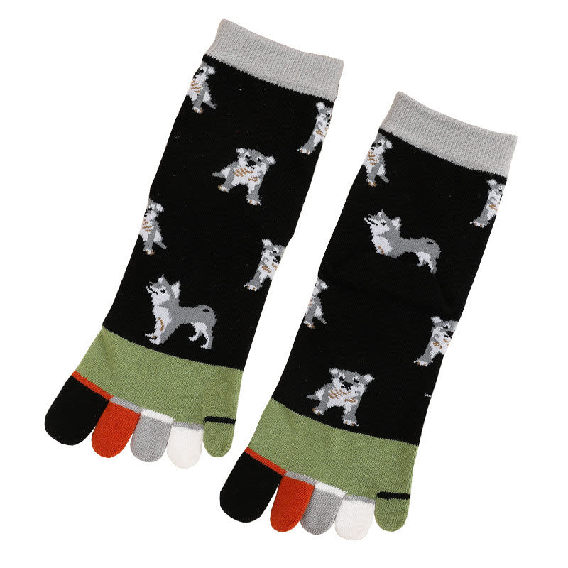 Chaussettes d'alignement pour chien (5 paires)