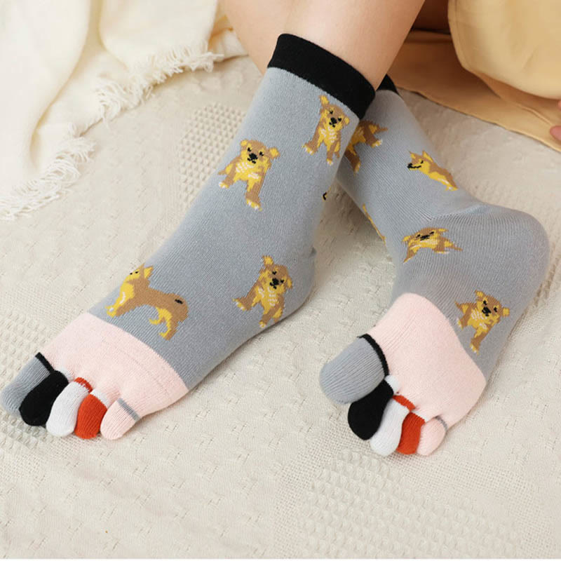 Chaussettes d'alignement pour chien (5 paires)