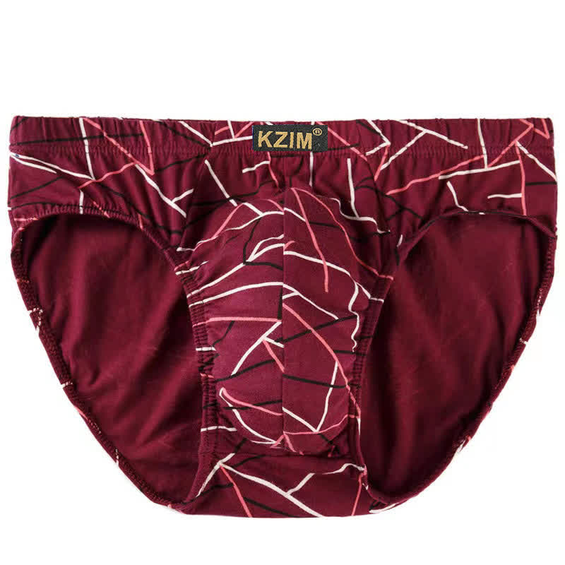 Slips en coton imprimé dragon grande taille pour homme (lot de 3)