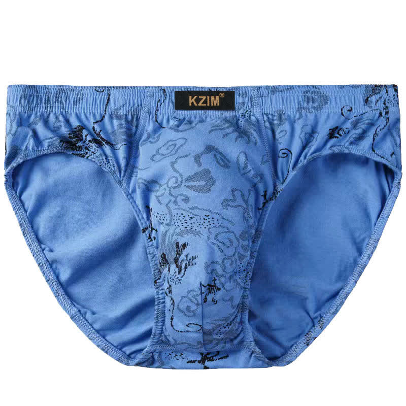 Slips en coton imprimé dragon grande taille pour homme (lot de 3)
