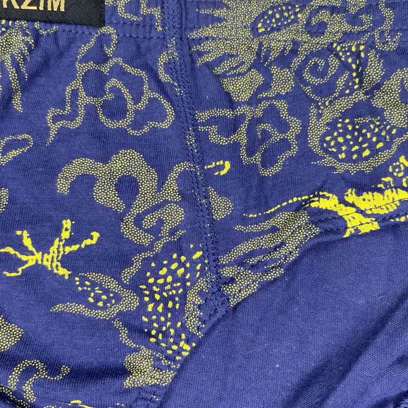 Slips en coton imprimé dragon grande taille pour homme (lot de 3)