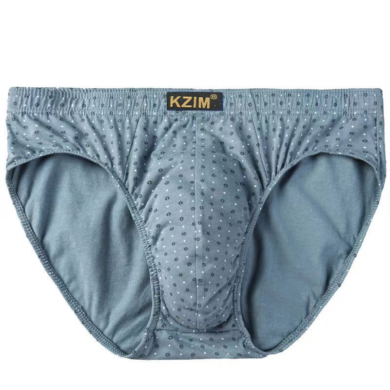 Slips en coton imprimé dragon grande taille pour homme (lot de 3)