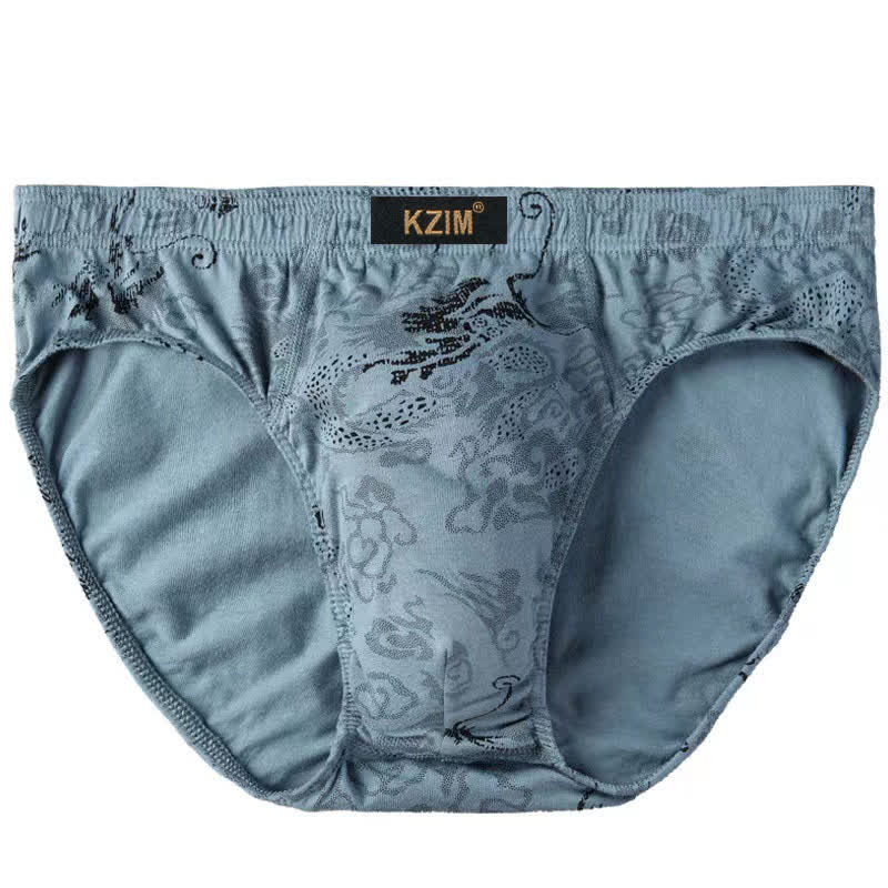 Slips en coton imprimé dragon grande taille pour homme (lot de 3)