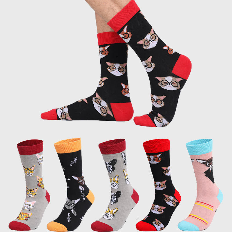 Chaussettes chat grande taille (5 paires) - Multicolore - EU44-49 (US10-14) - image 1