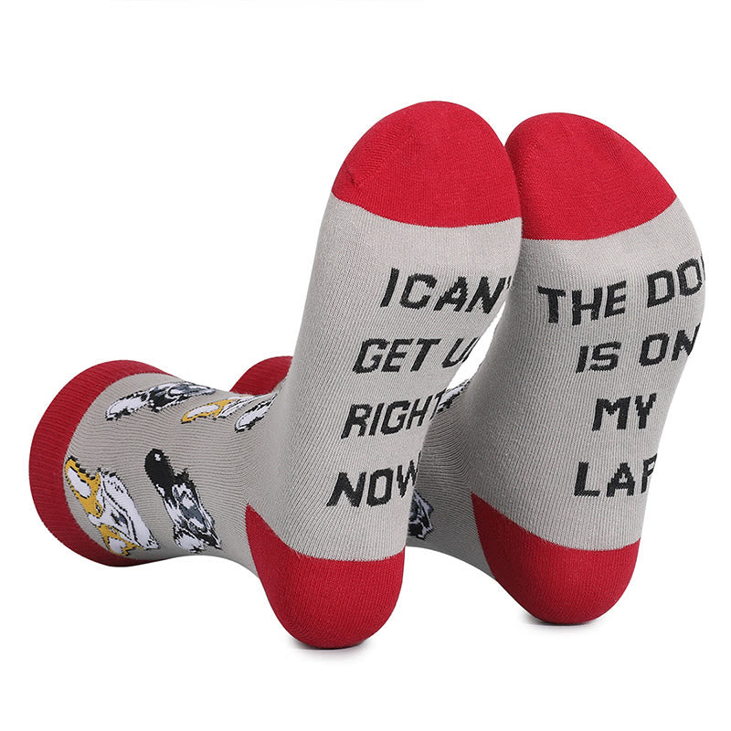 Chaussettes chat grande taille (5 paires) - image 12