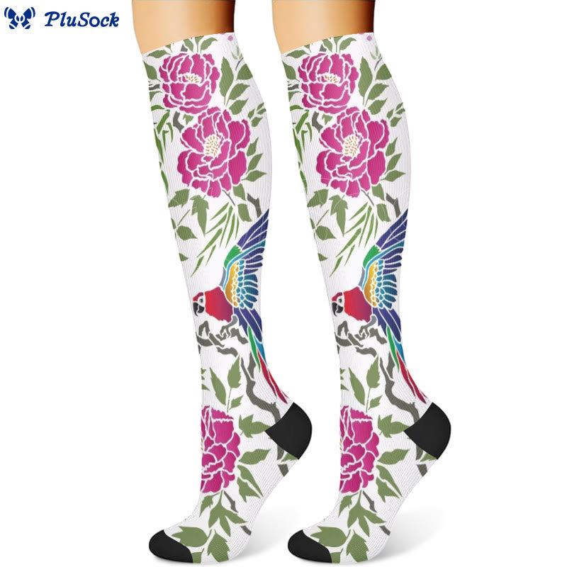 Chaussettes de compression motif perroquet fleuri (3 paires) - image 4