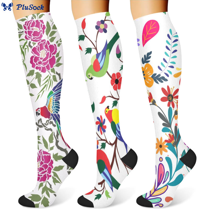 Chaussettes de compression motif perroquet fleuri (3 paires) - image 1