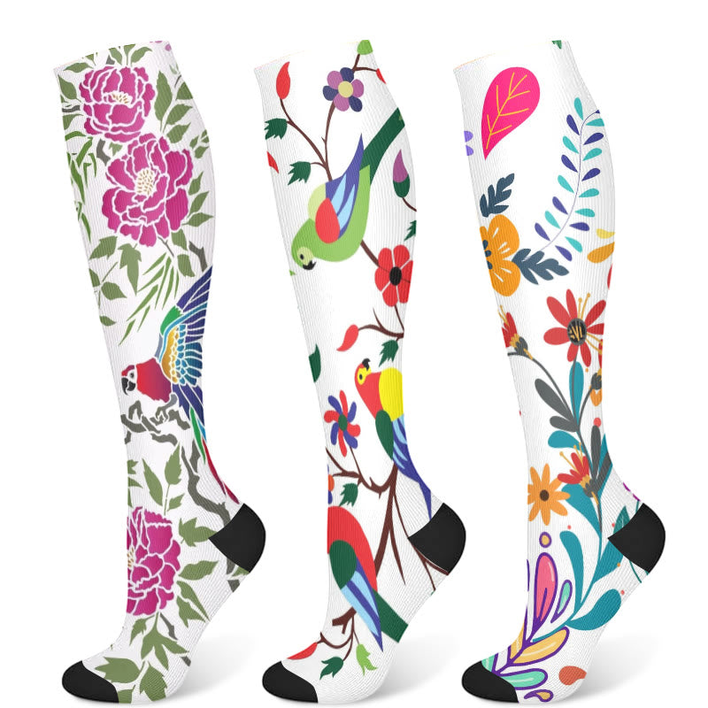 Chaussettes de compression motif perroquet fleuri (3 paires) - Multicolore - S/M - image 5