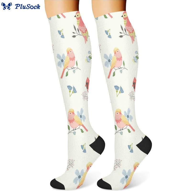 Chaussettes de compression à motif d'oiseaux et de fleurs printanières (3 paires) - image 4