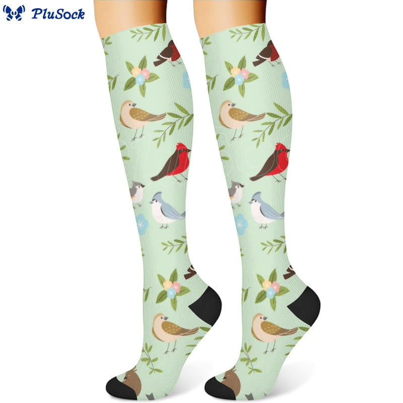 Chaussettes de compression à motif d'oiseaux et de fleurs printanières (3 paires) - image 2