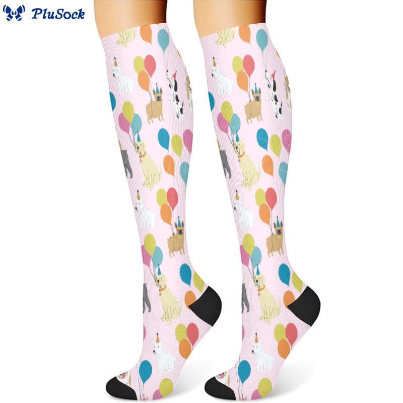 Chaussettes de compression pour chat teckel ballon (3 paires) - image 3