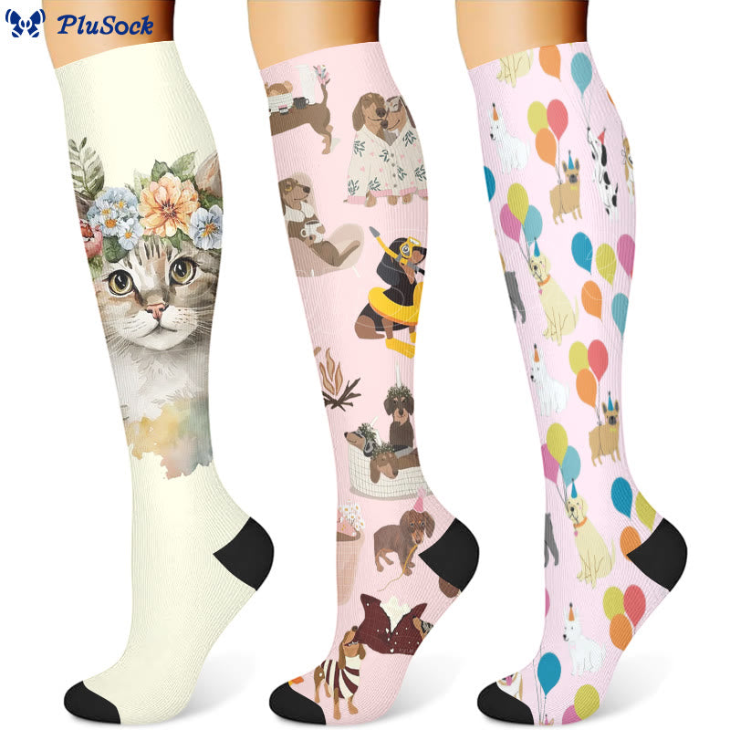 Chaussettes de compression pour chat teckel ballon (3 paires) - image 1