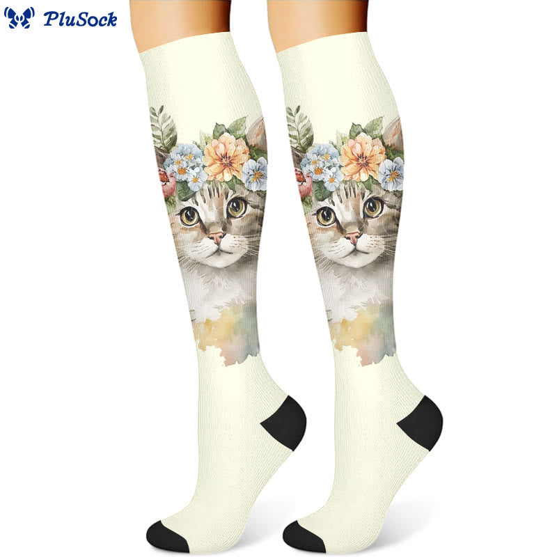 Chaussettes de compression pour chat teckel ballon (3 paires) - image 2