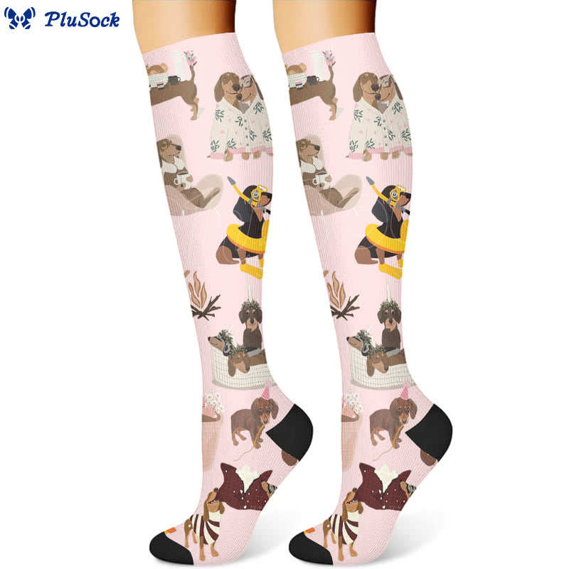 Chaussettes de compression pour chat teckel ballon (3 paires) - image 4
