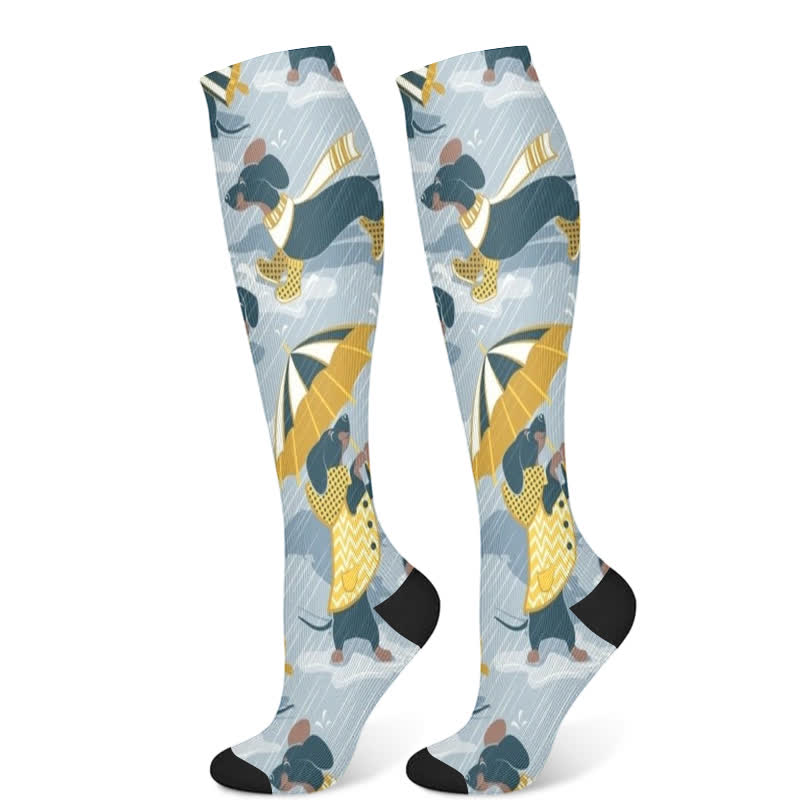 Chaussettes de compression à imprimé chien (3 paires) - Bleu (1 paire) - S/M - image 8