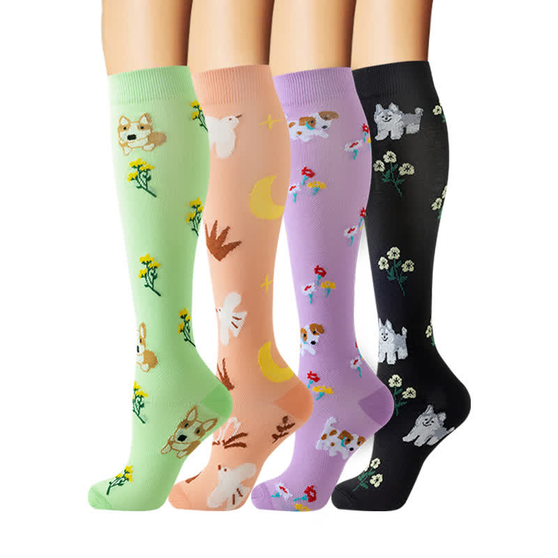 Chaussettes de compression hautes à motif floral pour chien (4 paires) - Multicolore - S/M - image 0