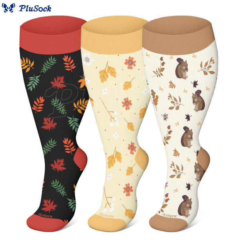 Chaussettes de compression grande taille à imprimé feuilles d'écureuil (3 paires) - image 0