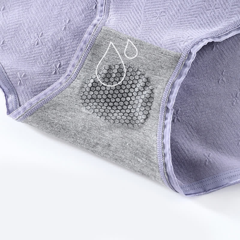 Culotte antibactérienne taille haute grande taille (6 paires)