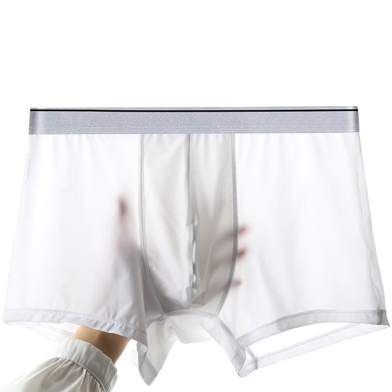 Culotte ultra-fine en soie glacée grande taille (1 paquet)
