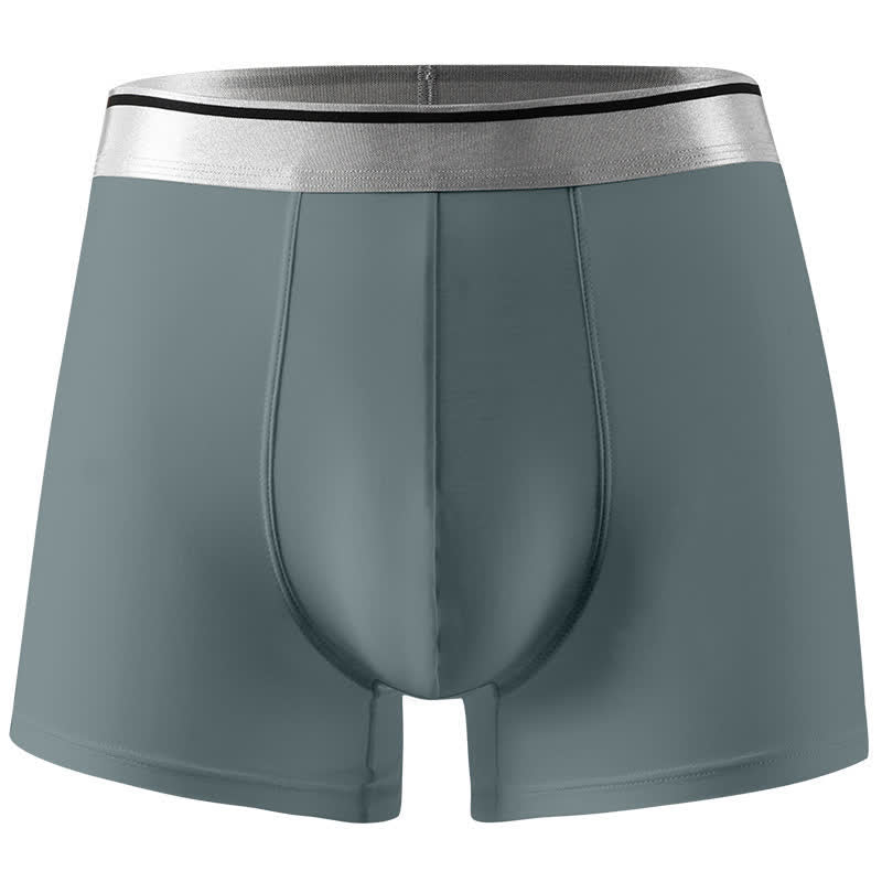 Culotte ultra-fine en soie glacée grande taille (1 paquet)