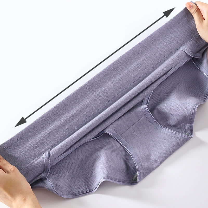 Culotte antibactérienne taille haute grande taille (6 paires)