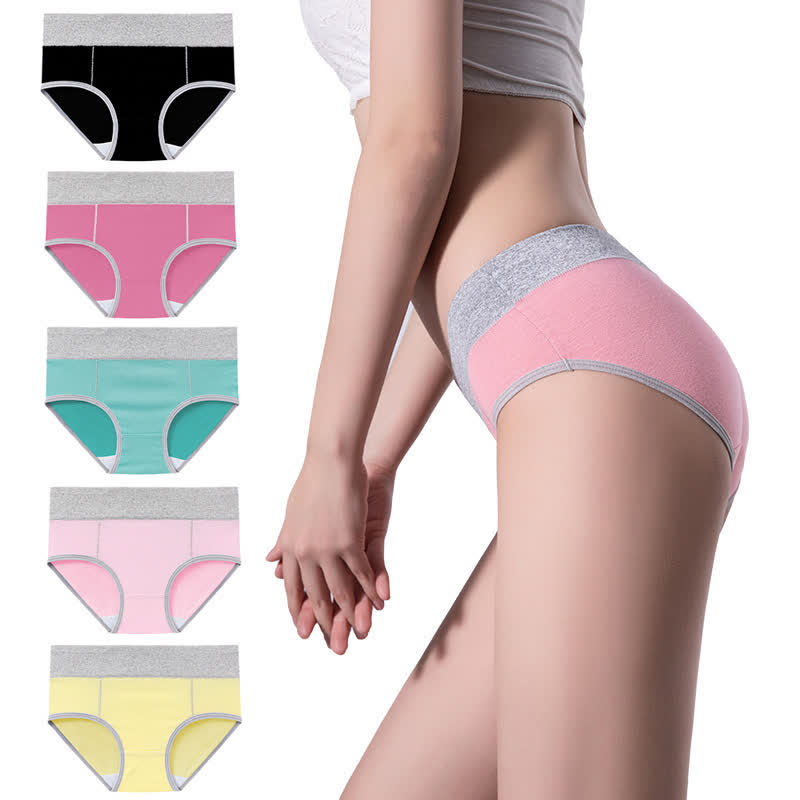 Culotte antibactérienne taille haute en coton grande taille (5 paires)