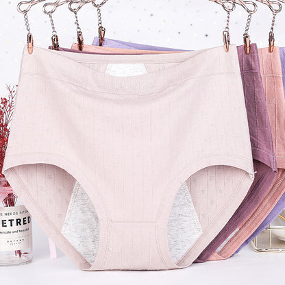 Culottes en coton doux grande taille (lot de 5)