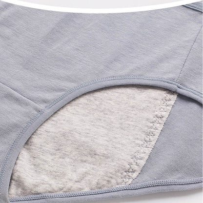 Culotte grande taille à fermeture éclair sur le devant (lot de 6)