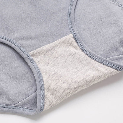 Culotte grande taille à fermeture éclair sur le devant (lot de 6)